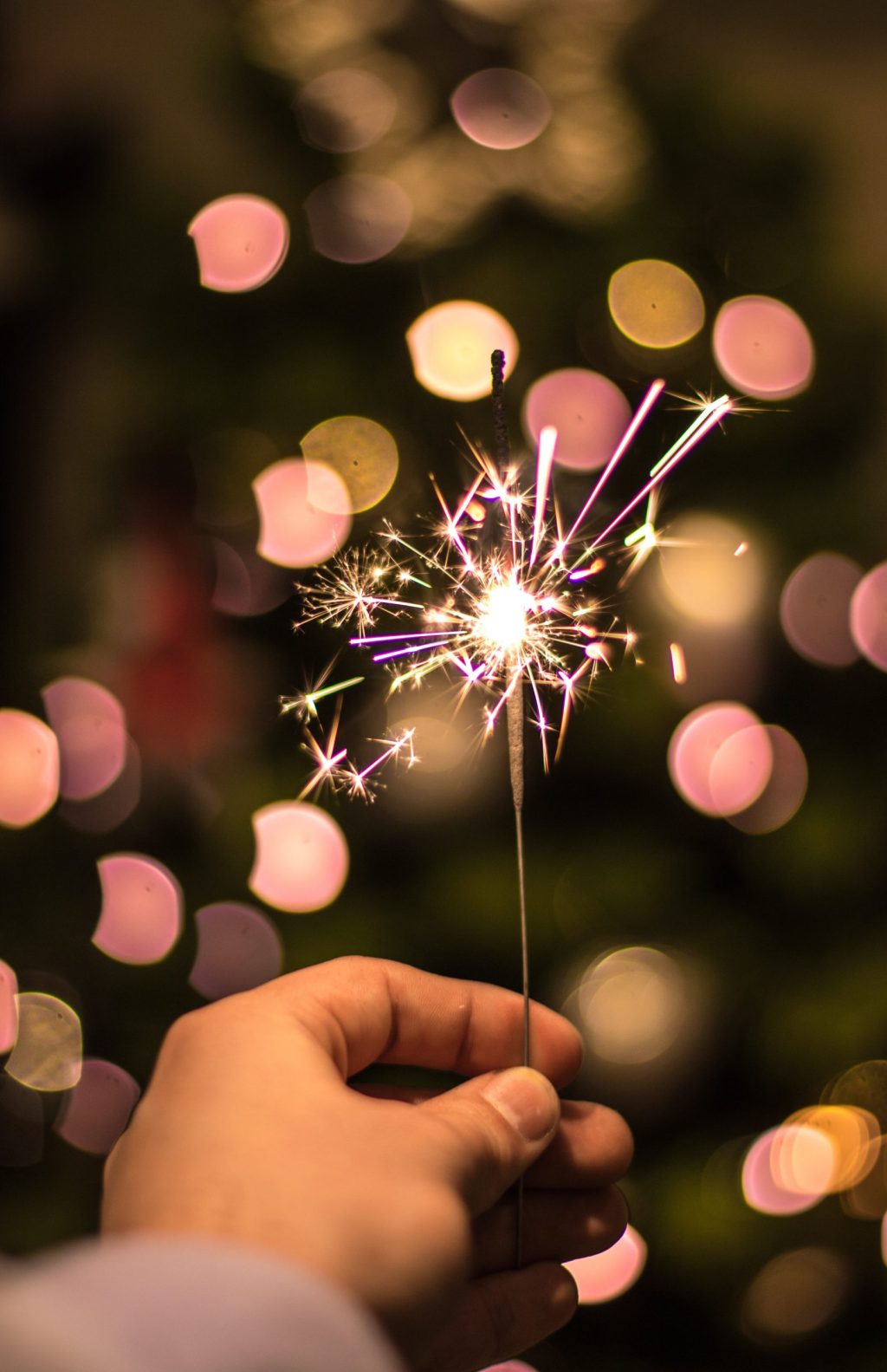 wout-vanacker-l4HBYkURqvE-unsplash